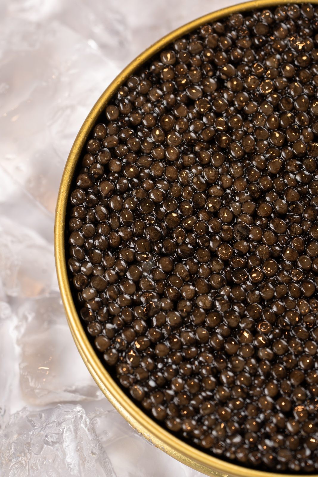 Boîte de caviar Osciètre ouverte sur la glace