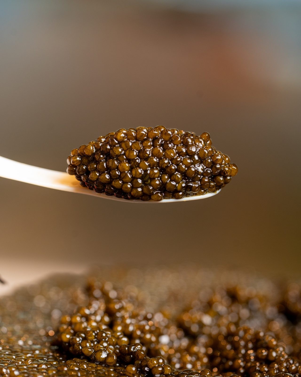 Caviar noir dans une cuillère en nacre, sur glace pilée