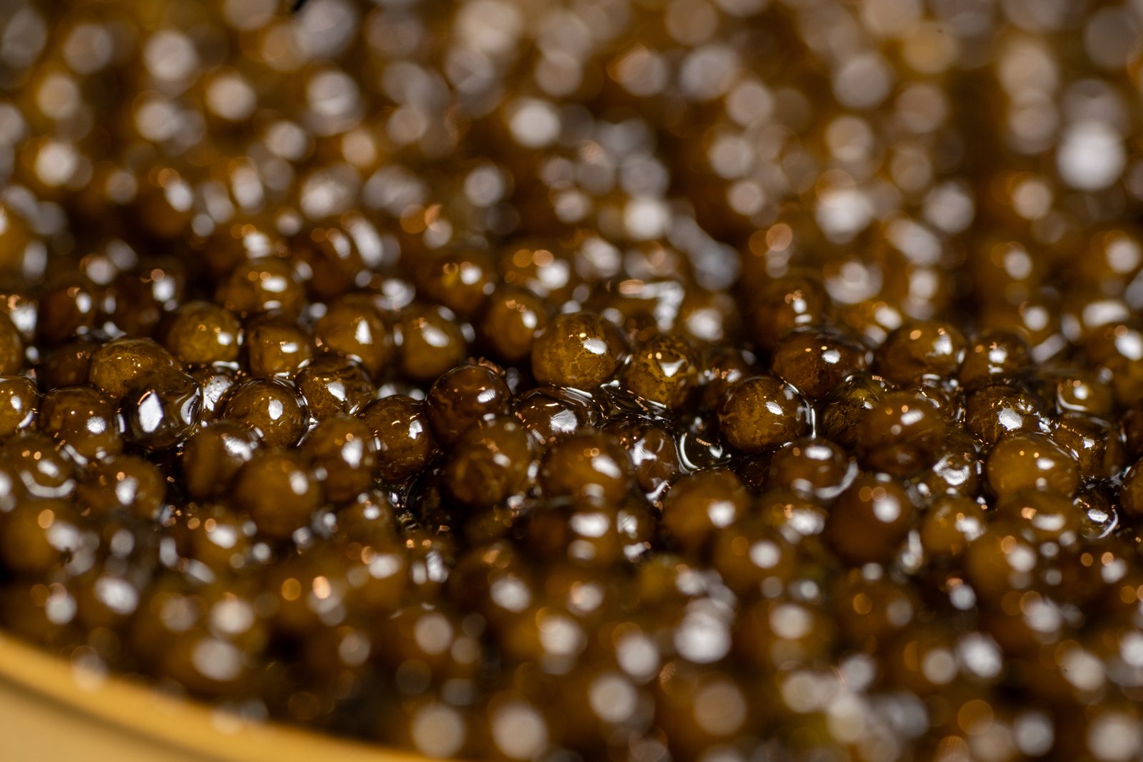 Gros plan sur les grains brillants du caviar